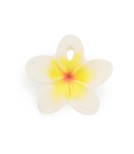 Juguete Mordedor Flor De Hawaii, Oli&carol (01000)