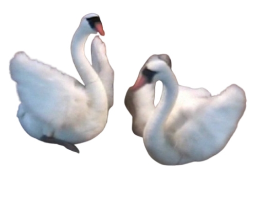 Juguete De Peluche Dos Cisnes Blancos Sobre Una Roca, Hansa (0146)