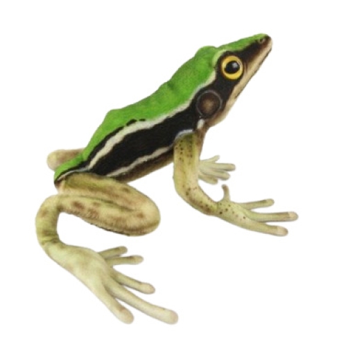 Rana Arboricola Taipei 30cm.an., Hansa (86592)