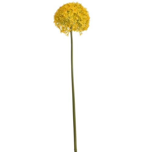 Allium Gigante D19 H90cm Amarillo H90cm Amarillo, JASACO (39972)