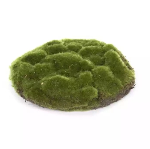 Juegos Parche Musgo Redondo Verde 20cm, Goodwill (91702)