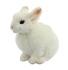 Juguete De Peluche Conejo Pigmeo Blanco 18cm.l, Hansa (8127)