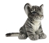 Juguete De Peluche Coli Negro Tigre 22cm.l, Hansa (8403)