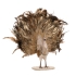 Juegos Broc.plume Cola Abierta Pavo Real Tt Marron-crm 68cm, GoodWill (81526)